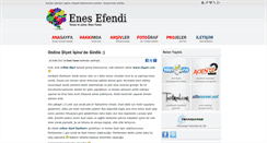 Desktop Screenshot of enesturan.com