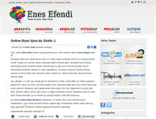 Tablet Screenshot of enesturan.com